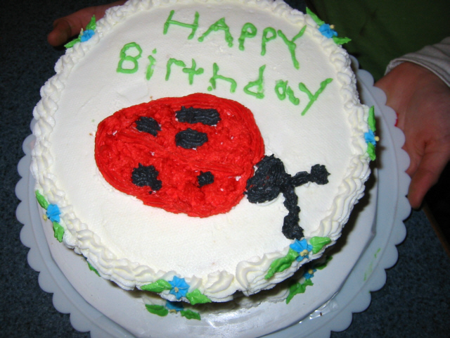 katies-ladybug-cake-for-pop-pop-010.jpg